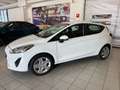 Ford Fiesta Plus  1.1 Plus rif.FN919 Bianco - thumbnail 7
