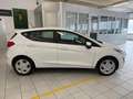 Ford Fiesta Plus  1.1 Plus rif.FN919 Bianco - thumbnail 4