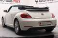 Volkswagen Beetle Cabriolet Design~1.Hand~SZH~Tempomat Blanc - thumbnail 5