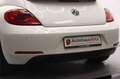 Volkswagen Beetle Cabriolet Design~1.Hand~SZH~Tempomat Blanc - thumbnail 13