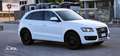 Audi Q5 Q5 I 2011 2.0 tdi Advanced quattro 170cv s-tronic Bianco - thumbnail 9
