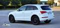Audi Q5 Q5 I 2011 2.0 tdi Advanced quattro 170cv s-tronic Bianco - thumbnail 3