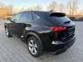 Lexus NX 300 Hybrid Luxury -HUD-Sitzbelü.-Pano-360Ka Schwarz - thumbnail 3