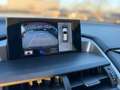 Lexus NX 300 Hybrid Luxury -HUD-Sitzbelü.-Pano-360Ka Schwarz - thumbnail 17