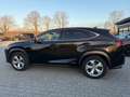 Lexus NX 300 Hybrid Luxury -HUD-Sitzbelü.-Pano-360Ka Schwarz - thumbnail 5