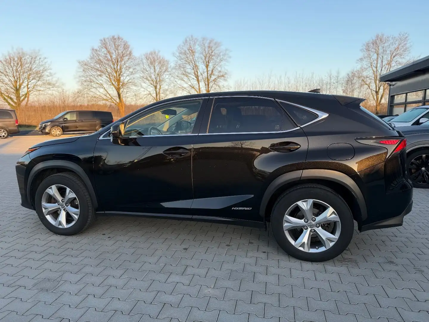 Lexus NX 300 Hybrid Luxury -HUD-Sitzbelü.-Pano-360Ka Schwarz - 2