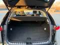 Lexus NX 300 Hybrid Luxury -HUD-Sitzbelü.-Pano-360Ka Schwarz - thumbnail 14