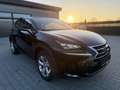 Lexus NX 300 Hybrid Luxury -HUD-Sitzbelü.-Pano-360Ka Schwarz - thumbnail 4