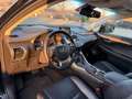 Lexus NX 300 Hybrid Luxury -HUD-Sitzbelü.-Pano-360Ka Schwarz - thumbnail 6