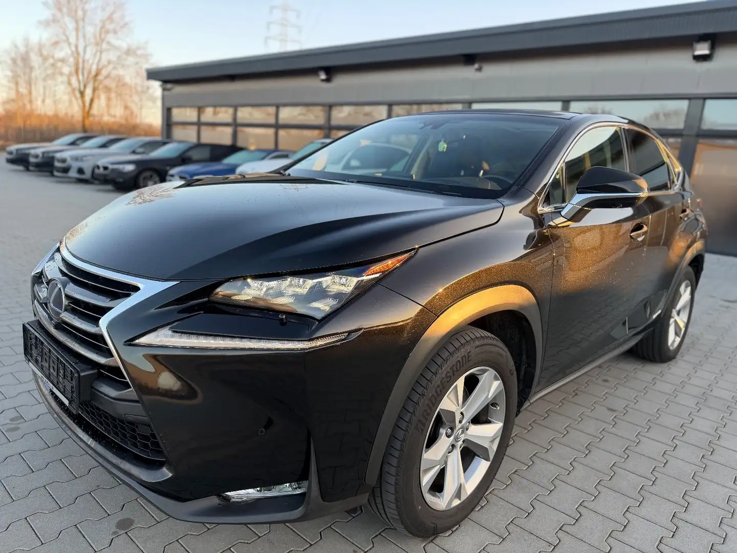 Lexus NX 300 Hybrid Luxury -HUD-Sitzbelü.-Pano-360Ka Schwarz - 1