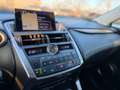 Lexus NX 300 Hybrid Luxury -HUD-Sitzbelü.-Pano-360Ka Schwarz - thumbnail 8
