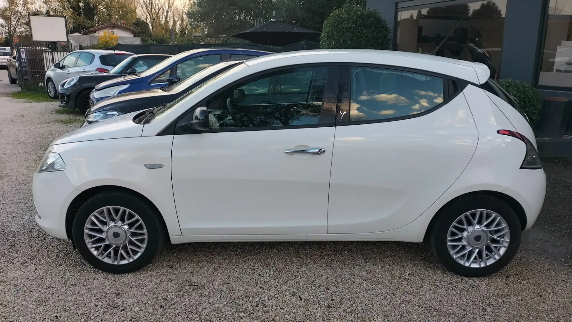 Lancia Ypsilon Ypsilon 1.2 69 CV 5 porte Gold Blanc - 2