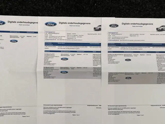 Ford Kuga view 10