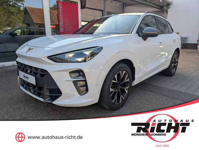 CUPRA Terramar 1.5 eTSI DSG Edge Design Digital Drive