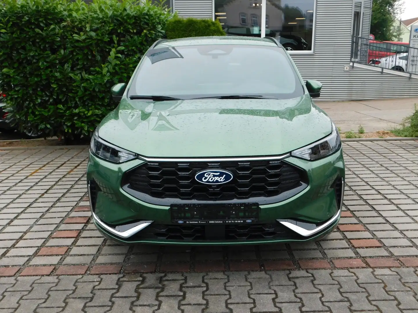 Ford Kuga ST-Line X Grün - 2