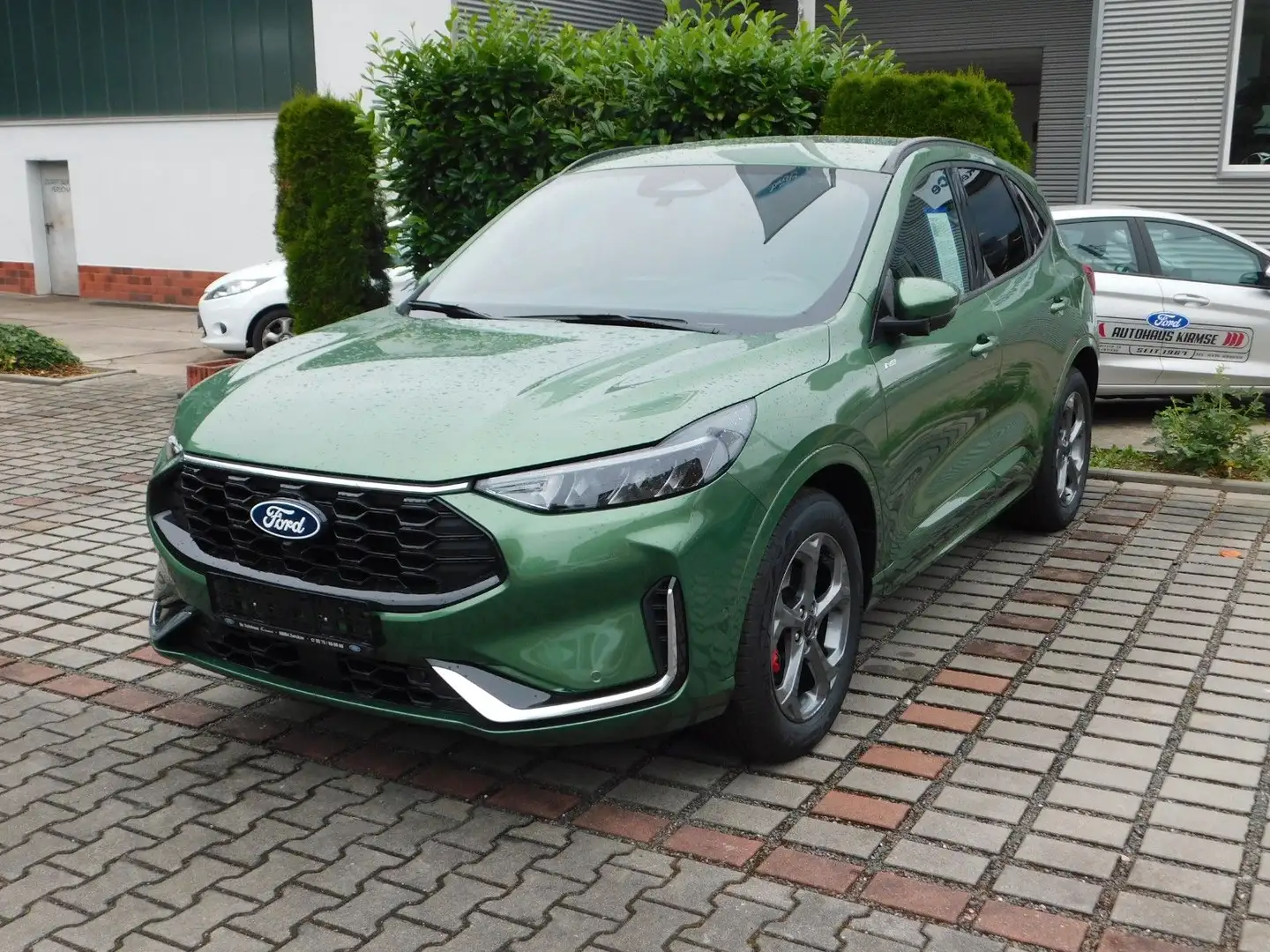 Ford Kuga ST-Line X Grün - 1