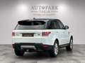 Land Rover Range Rover Sport HSE (MERIDIAN-PANO-AHK-LED) Blanc - thumbnail 14