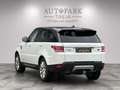 Land Rover Range Rover Sport HSE (MERIDIAN-PANO-AHK-LED) Blanc - thumbnail 11