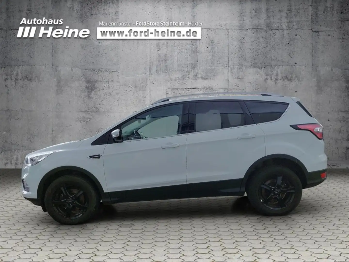 Ford Kuga 1.5 EcoBoost C&C *PANO*AHK*RFK*NAVI* Blanco - 2