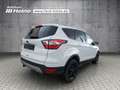 Ford Kuga 1.5 EcoBoost C&C *PANO*AHK*RFK*NAVI* Weiß - thumbnail 5