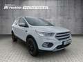Ford Kuga 1.5 EcoBoost C&C *PANO*AHK*RFK*NAVI* Bílá - thumbnail 7