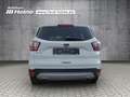 Ford Kuga 1.5 EcoBoost C&C *PANO*AHK*RFK*NAVI* Blanco - thumbnail 4