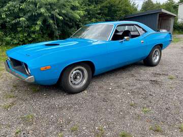 Barracuda Cuda Seltenheit Top Zustand