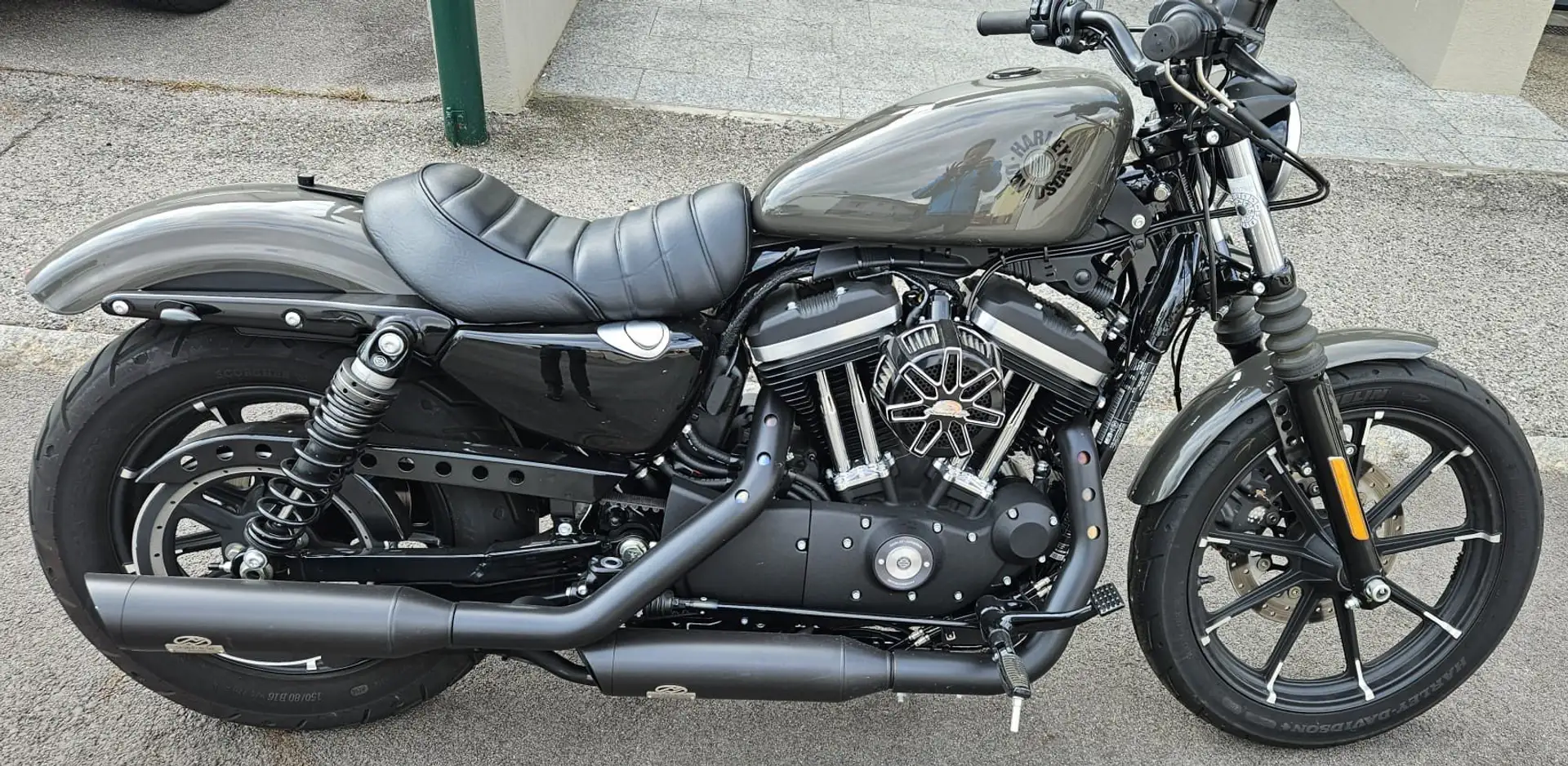 Harley-Davidson Sportster XL 883 Harley-Davidson Sportster Iron 883 LV2 Grau - 1