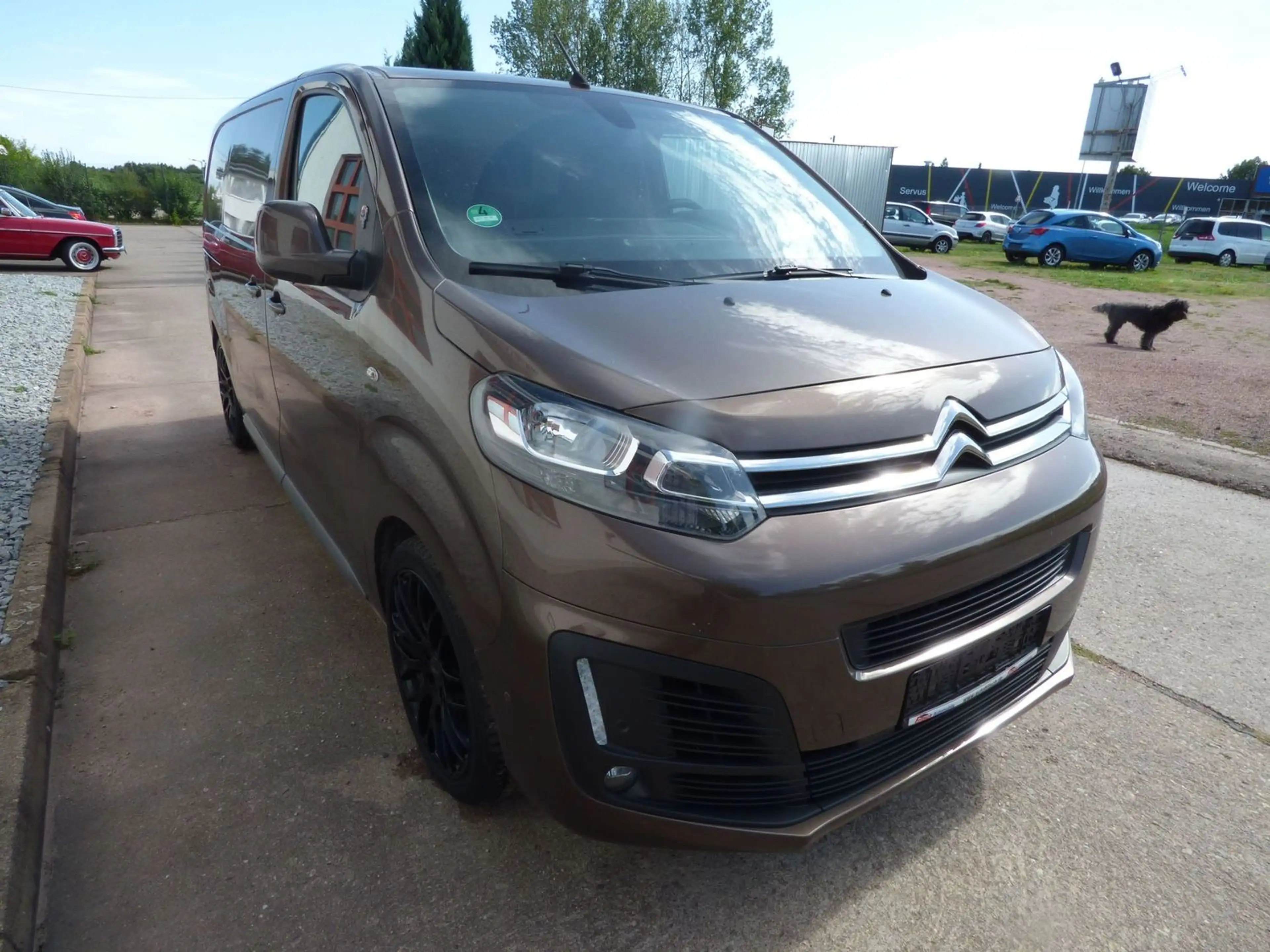 Citroen Jumpy Business M (L2), Navi, Standheizung — photo 4