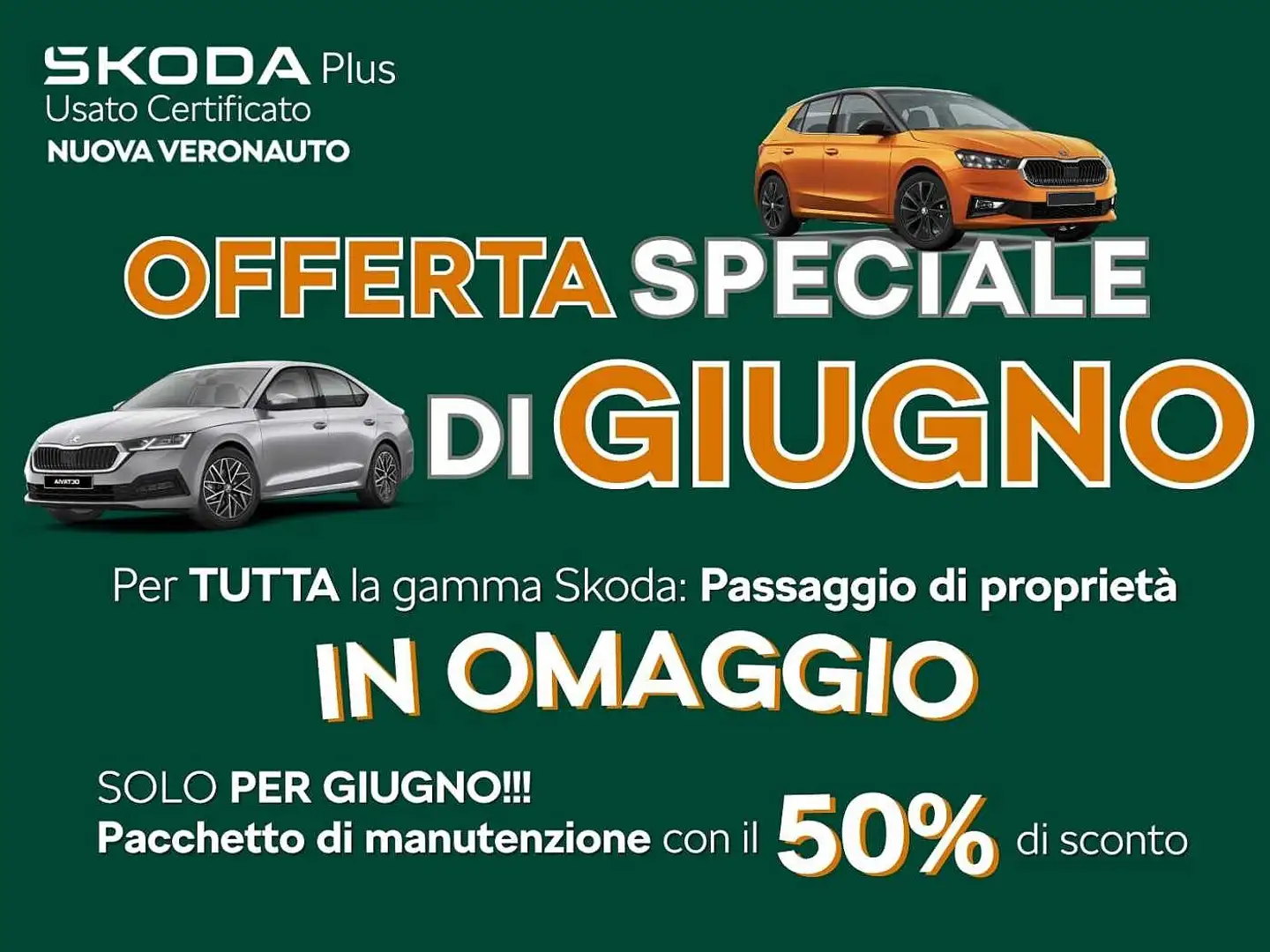 Skoda Fabia 1.0 TSI EVO 95 CV Selection Argento - 2