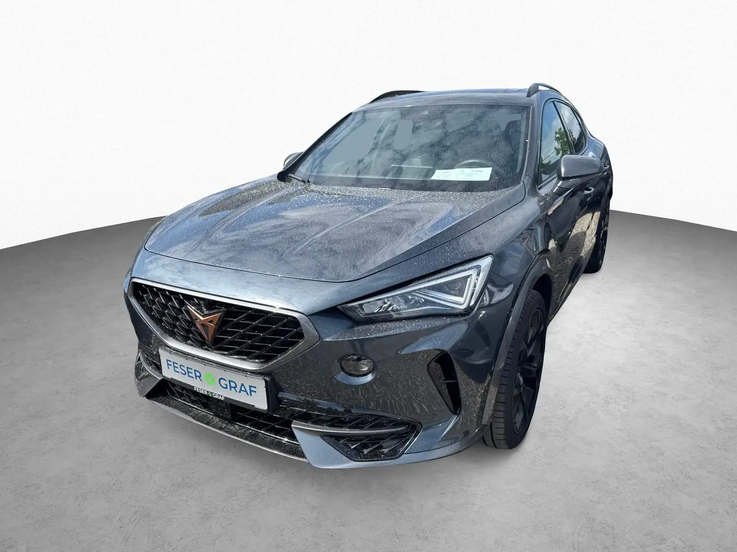 CUPRA Formentor VZ 4Drive Gris - 1