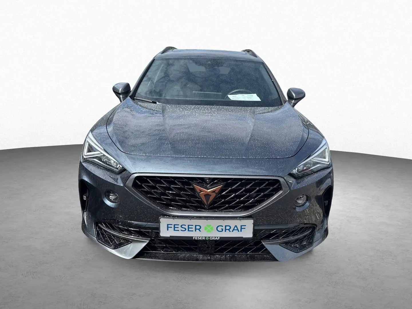 CUPRA Formentor VZ 4Drive Gris - 2