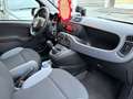 Fiat Panda Panda 0.9 t.air t. 4x4 s Grigio - thumbnail 7