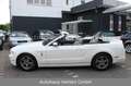 Ford Mustang Cabrio 3.7*AUTOMATIK*LEDER BEIGE*XENON* Weiß - thumbnail 7