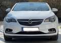 Opel Cascada Cascada 1,6 Turbo Ecotec Direct Injection Cosmo Aut. Cosmo Weiß - thumbnail 12