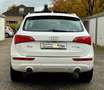 Audi Q5 3.0 TDI  quattro Weiß - thumbnail 6