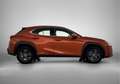 Lexus UX 250h Business Line | Stoel en stuurverwarming | Achteru Orange - thumbnail 11