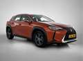 Lexus UX 250h Business Line | Stoel en stuurverwarming | Achteru Orange - thumbnail 12