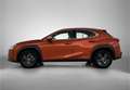 Lexus UX 250h Business Line | Stoel en stuurverwarming | Achteru Orange - thumbnail 3