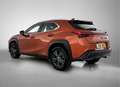 Lexus UX 250h Business Line | Stoel en stuurverwarming | Achteru Orange - thumbnail 13