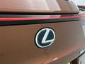 Lexus UX 250h Business Line | Stoel en stuurverwarming | Achteru Orange - thumbnail 18