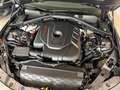 Alfa Romeo Giulia 2.2 TURBODIESEL 160 cv. AT8 SUPER BUSINESS Grigio - thumbnail 7