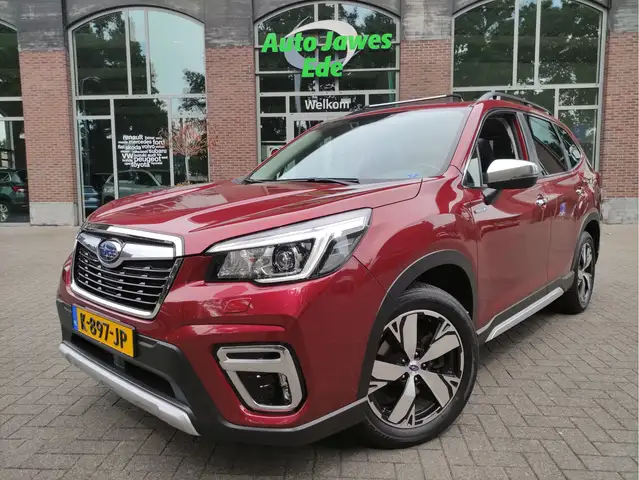 Subaru Forester 2.0i e-BOXER First Edition Afn.trekhaak - Panorama