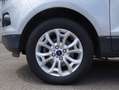 Ford EcoSport EcoSport 1.5 tdci Plus 95cv E6 Argento - thumbnail 14