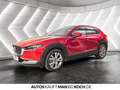 Mazda CX-30 2.5 140 6AT FWD Exclusive-line ACC 360 BOS Rot - thumbnail 3