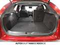 Mazda CX-30 2.5 140 6AT FWD Exclusive-line ACC 360 BOS Rot - thumbnail 16
