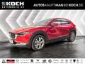 Mazda CX-30 2.5 140 6AT FWD Exclusive-line ACC 360 BOS Rot - thumbnail 1