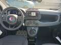 Fiat Panda 1.0 FireFly S&S Hybrid PREZZO REALE Wit - thumbnail 11