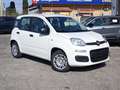 Fiat Panda 1.0 FireFly S&S Hybrid PREZZO REALE Wit - thumbnail 1
