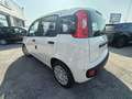 Fiat Panda 1.0 FireFly S&S Hybrid PREZZO REALE Wit - thumbnail 5
